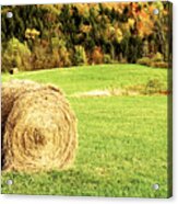 Autumn Hay Bales Acrylic Print