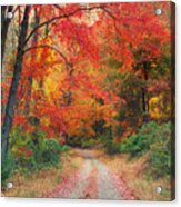 Autumn In New Jersey Acrylic Print