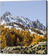 Autumn In The French Alps Acrylic Print