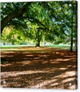 Autumn In The Park Acrylic Print