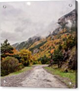 Autumn In The Pyrenees Acrylic Print