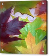 Autumn Acrylic Print