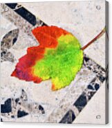 Autumn Leaf On Travertine Acrylic Print