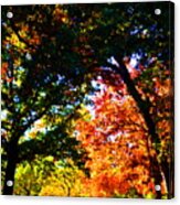 Autumn Light Acrylic Print