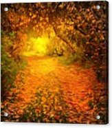 Autumn Light Acrylic Print