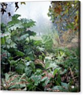 Autumn Mist, Great Dixter Garden Acrylic Print