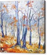 Autumn Mist - Morning Acrylic Print