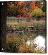 Autumn Pond In Maryland Acrylic Print