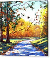 Autumn Road Mt Wilson Acrylic Print