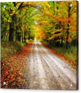 Autumn Road Acrylic Print
