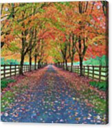 Autumn Splender Acrylic Print