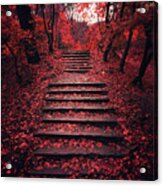 Autumn Stairs Acrylic Print