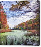 Autumn View Through The Trees Of A Chesapeak Bay Lake Acrylic Print