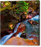 Avalanche Creek Acrylic Print