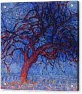 Avond Evening The Red Tree Piet Mondrian Acrylic Print