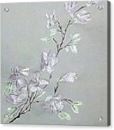 Azaleas Blooming Acrylic Print