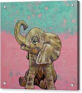 Baby Elephant Acrylic Print