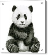 Baby Panda Watercolor Acrylic Print