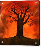 Bad Tree Acrylic Print