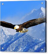 Bald Eagle Over The Wasatch Acrylic Print