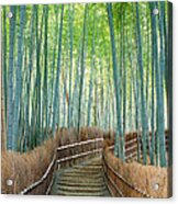 Bamboo Forest, Kyoto City, Kyoto Acrylic Print