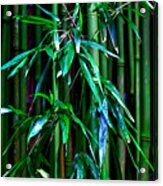 Bamboo Acrylic Print