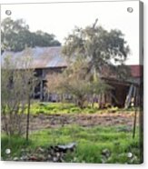 Barn 022 Acrylic Print