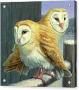 Barn Owl Couple Acrylic Print