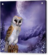 Barn Owl - Winter Scene Acrylic Print