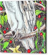 Barn Owl With Lattice Work Of Branches Acrylic Print