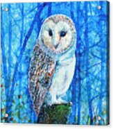 Barn Owl Acrylic Print