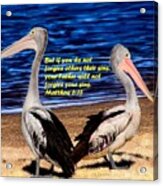 Be Biblical Birds Acrylic Print