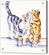 Cats - Be Cherished Acrylic Print