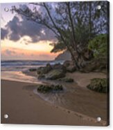 Beach Brilliance Acrylic Print