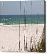 Beach View With Grass Acrylic Print