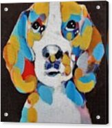 Beagle Acrylic Print