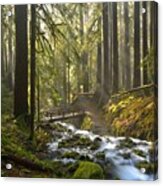 Beams Over The Bridge Acrylic Print