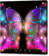 Beauty Of Butterfly Acrylic Print