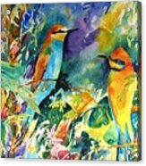 Bee Eaters Acrylic Print