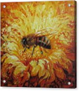 Bee Acrylic Print