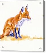 Fox Cub - Bee Important Acrylic Print