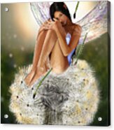 Belle Acrylic Print Belle Acrylic Print