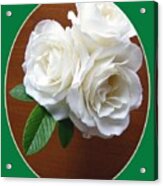 Belles Roses Blanches Acrylic Print