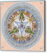 Beloved Mandala Prayer Acrylic Print