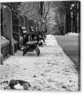Benches Snow Nyc Parks Black W Acrylic Print