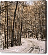Bend In The Road Acrylic Print