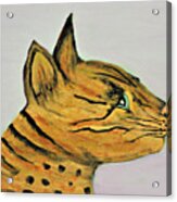 Bengal Cat Acrylic Print