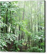 Beyond The Misty Forest Acrylic Print