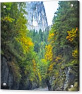 Bicaz Canyon Acrylic Print