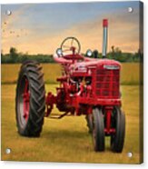 Big Red - Farmall Tractor Acrylic Print